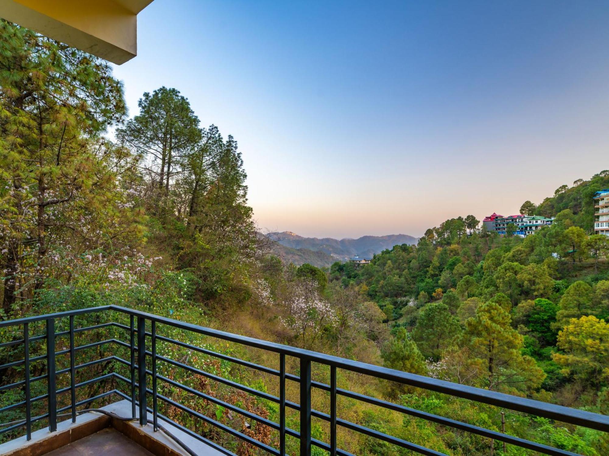 The Hosteller Kasauli Room photo