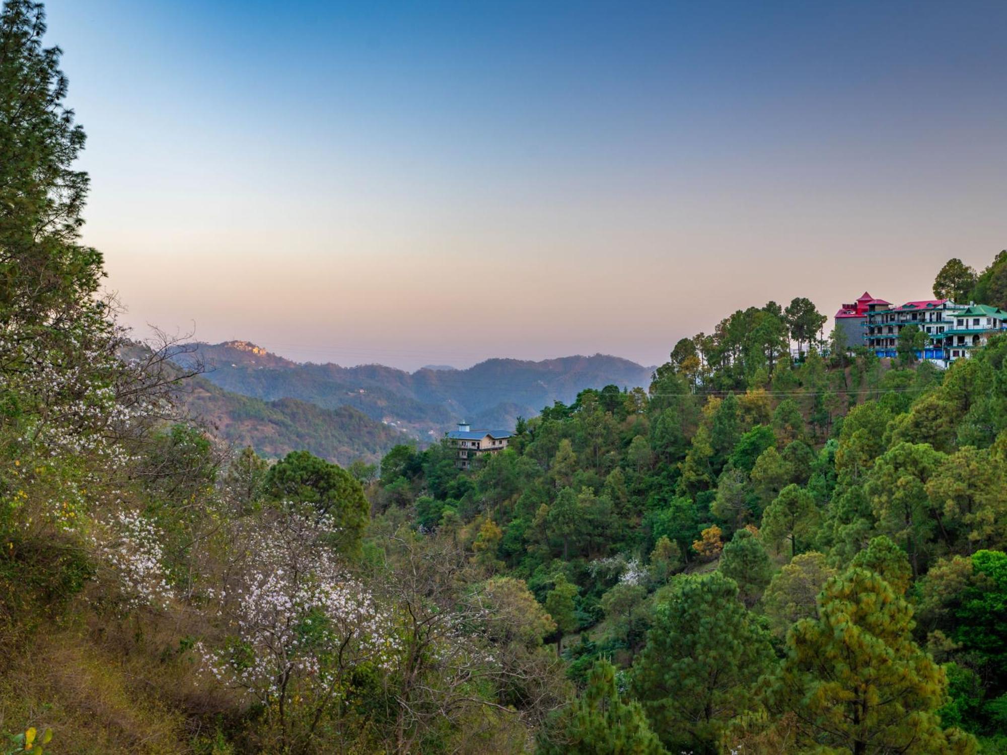 The Hosteller Kasauli Exterior photo